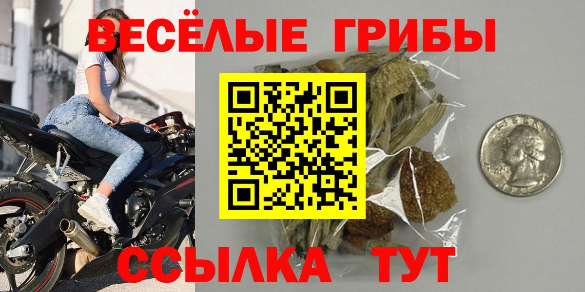 хочу   Вход с VPN  Чернушка  Псилоцибиновые грибы Psilocybine cubensis 