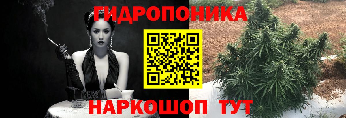 Бошки марихуана индика Чернушка